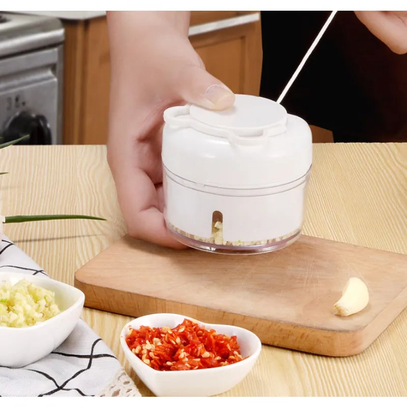 Manual Garlic & Herbs Chopper